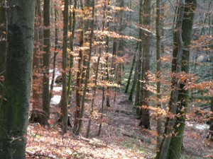 Bungsberg-CTF 088